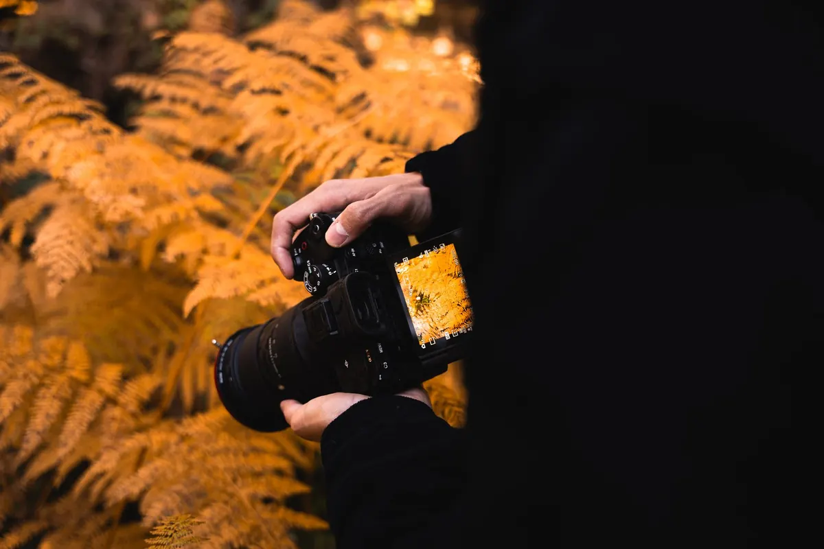 Common Landscape Photography Mistakes and How to Avoid Them